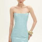 DARCY IN GHIACCIO SCIOGLIMENTO