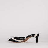 GATTINO JACE IN ZEBRA PONY