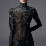 MERRIL DANS BLACK CROW