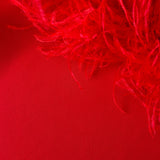 ROSSY IN ROSSO PEDRO