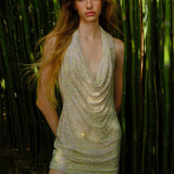 INANNA NEL CANTO DELLA SIRENA