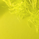 CYNTHIA IN ACID LIME