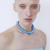 SWAN IN BLEU ROI